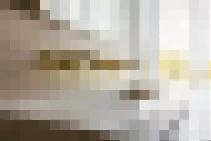 Truus Wijsmullerpad 8 Rotterdam thumbnail 27