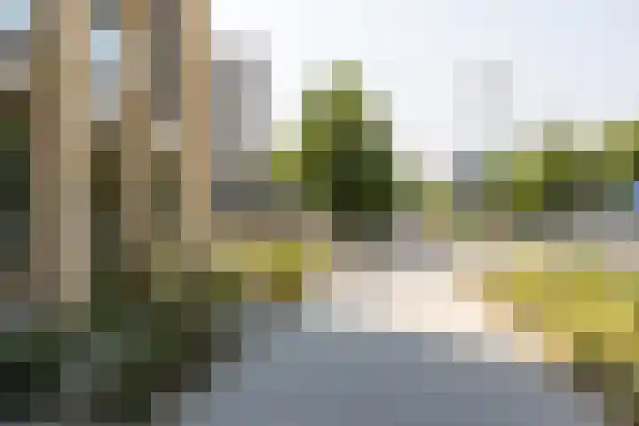 Truus Wijsmullerpad 8 Rotterdam thumbnail 37