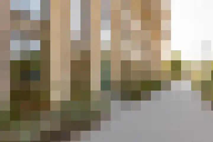 Truus Wijsmullerpad 8 Rotterdam thumbnail 38