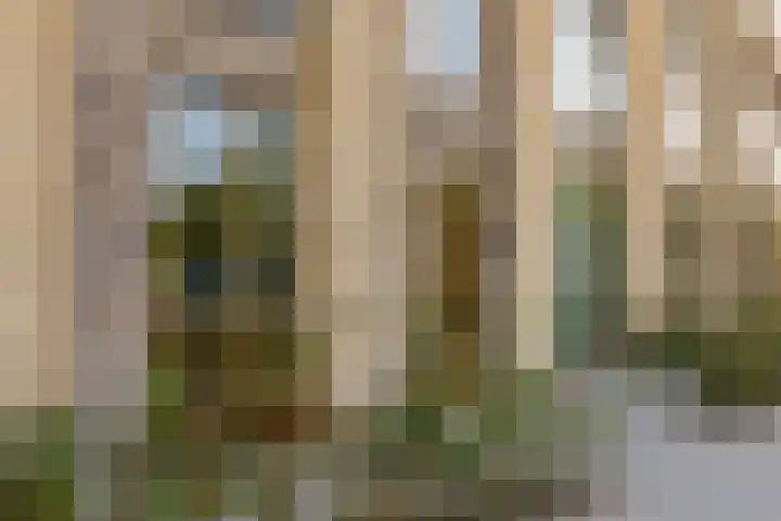 Truus Wijsmullerpad 8 Rotterdam thumbnail 41