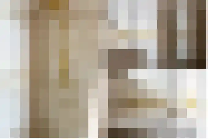 Truus Wijsmullerpad 8 Rotterdam thumbnail 5