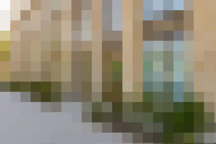Truus Wijsmullerpad 8 Rotterdam thumbnail 6