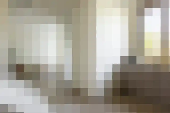 Truus Wijsmullerpad 8 Rotterdam thumbnail 7
