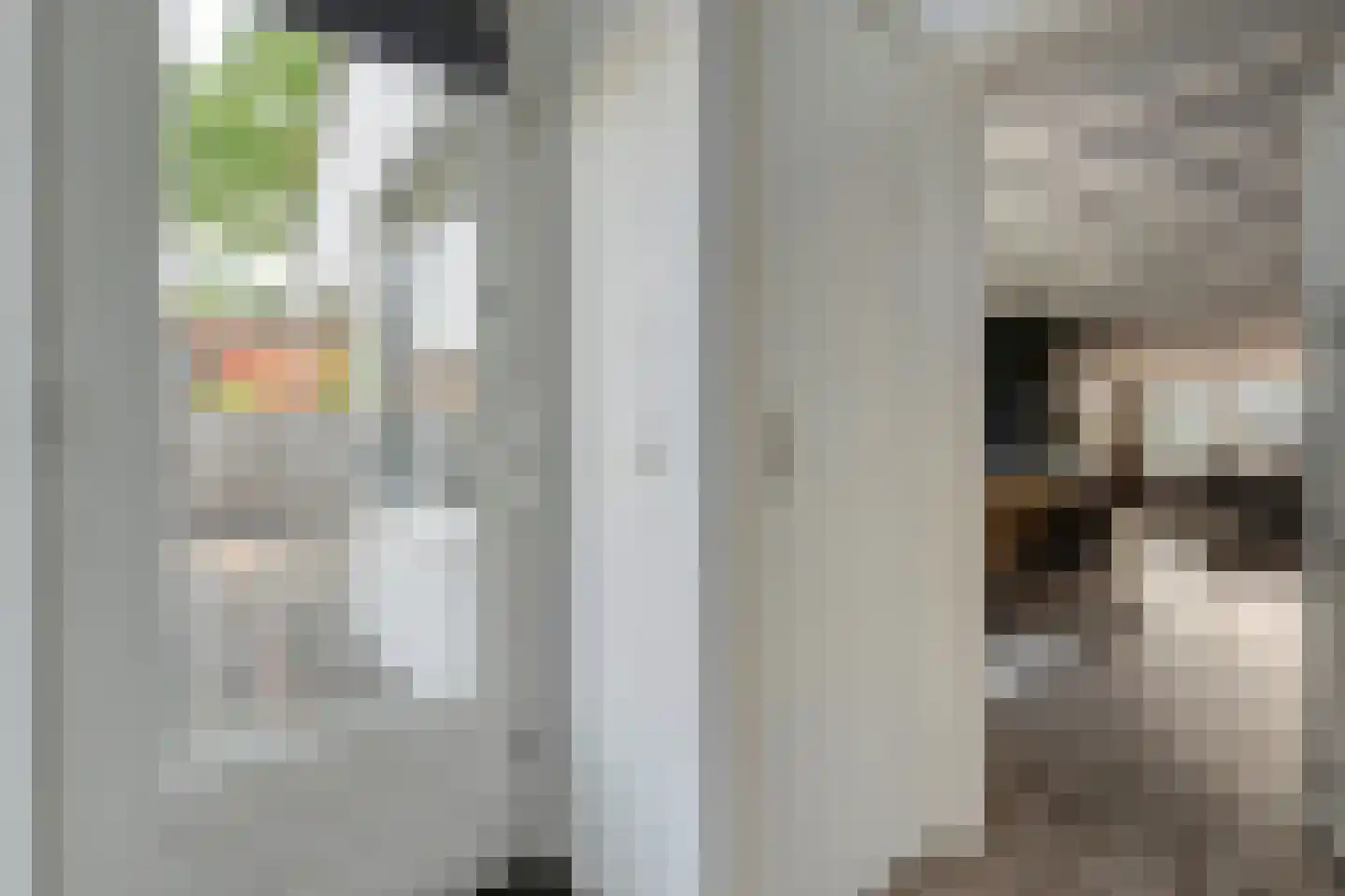 Truus Wijsmüllerstraat 1 Coevorden thumbnail 10