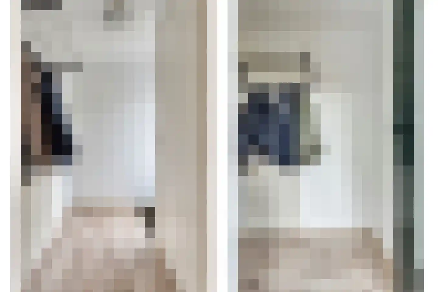 Truus Wijsmüllerstraat 1 Coevorden thumbnail 11
