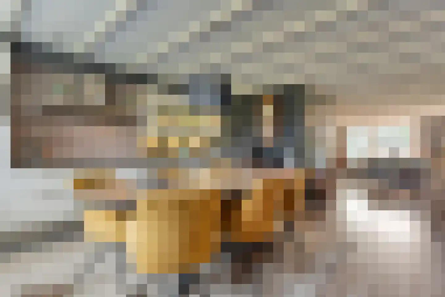 Truus Wijsmüllerstraat 1 Coevorden thumbnail 12
