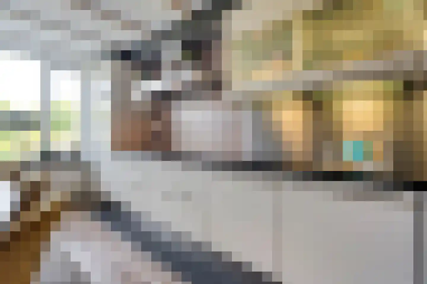 Truus Wijsmüllerstraat 1 Coevorden thumbnail 13