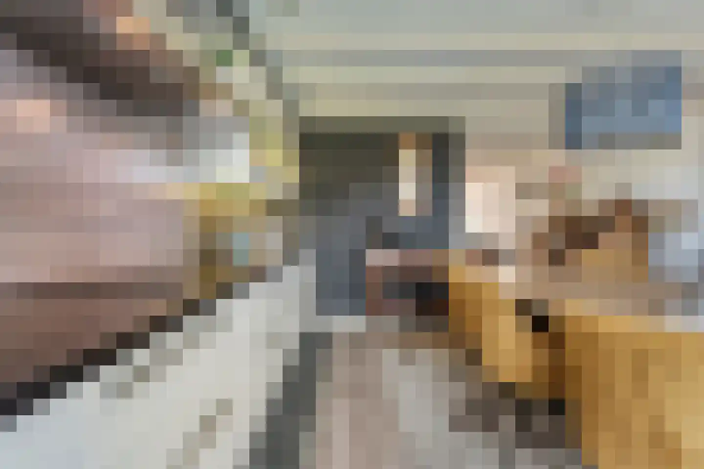 Truus Wijsmüllerstraat 1 Coevorden thumbnail 14