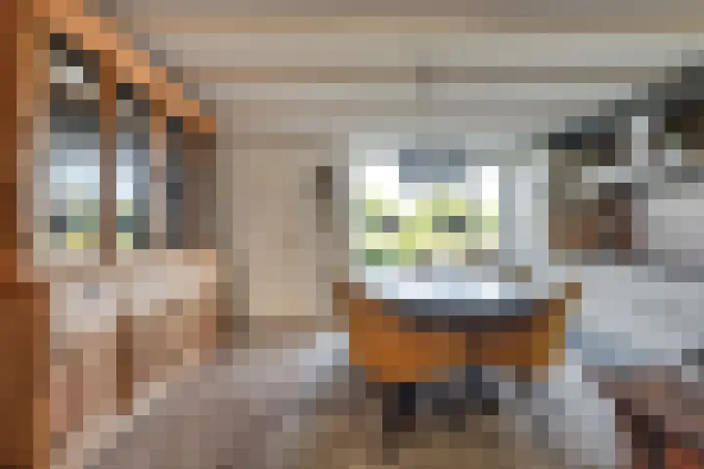 Truus Wijsmüllerstraat 1 Coevorden thumbnail 15