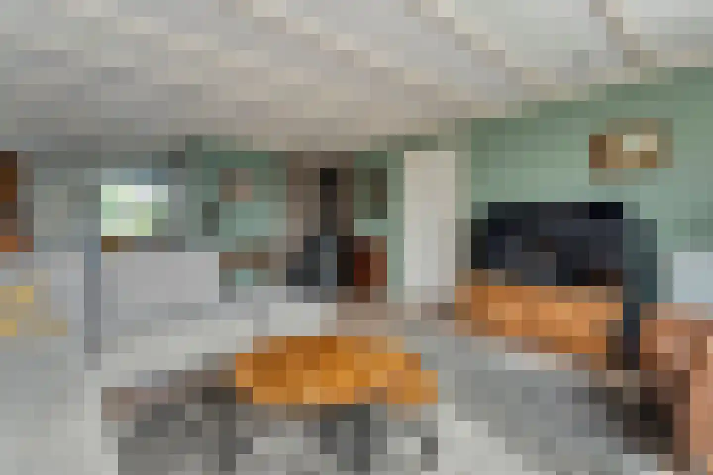 Truus Wijsmüllerstraat 1 Coevorden thumbnail 18
