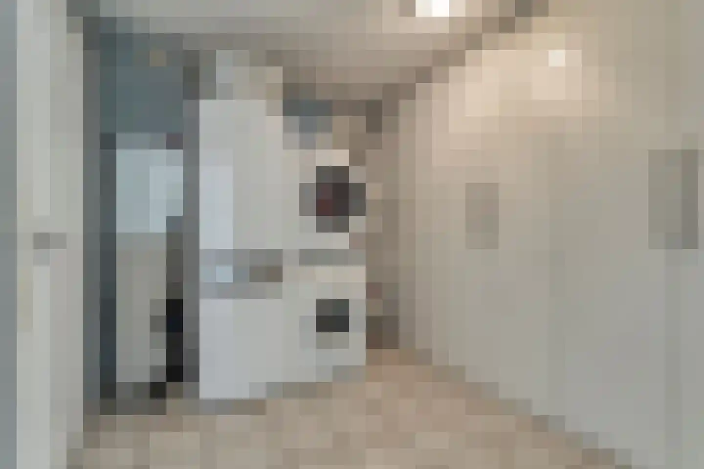 Truus Wijsmüllerstraat 1 Coevorden thumbnail 21