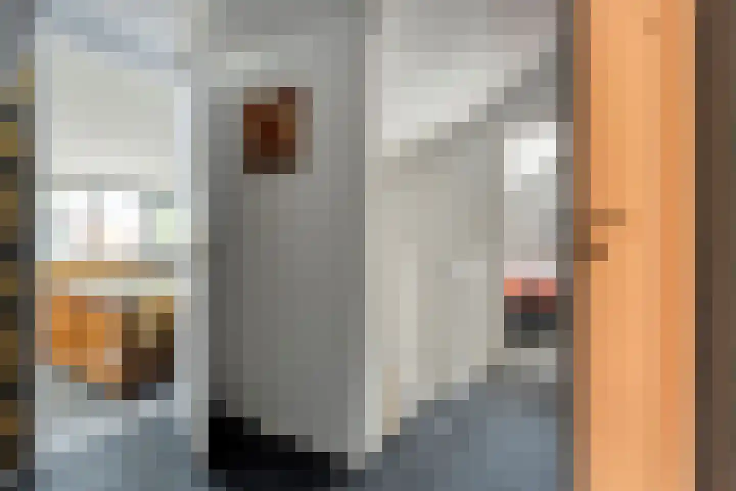 Truus Wijsmüllerstraat 1 Coevorden thumbnail 24