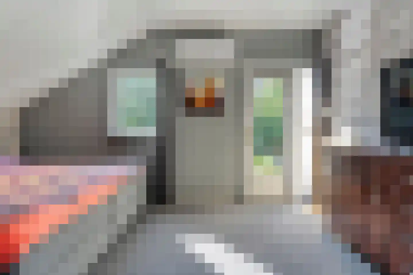 Truus Wijsmüllerstraat 1 Coevorden thumbnail 26