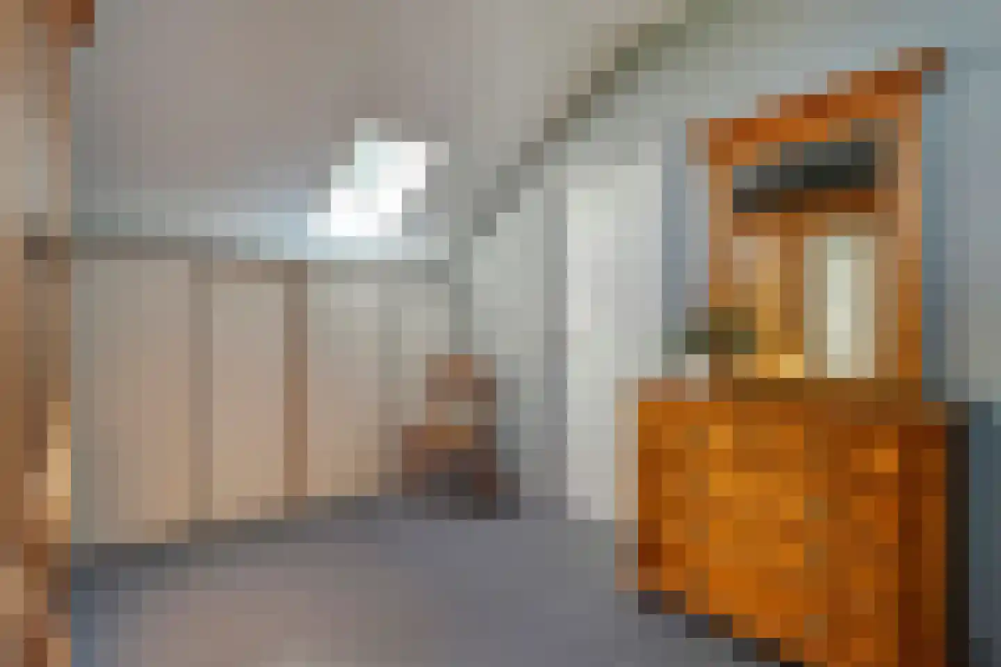 Truus Wijsmüllerstraat 1 Coevorden thumbnail 29