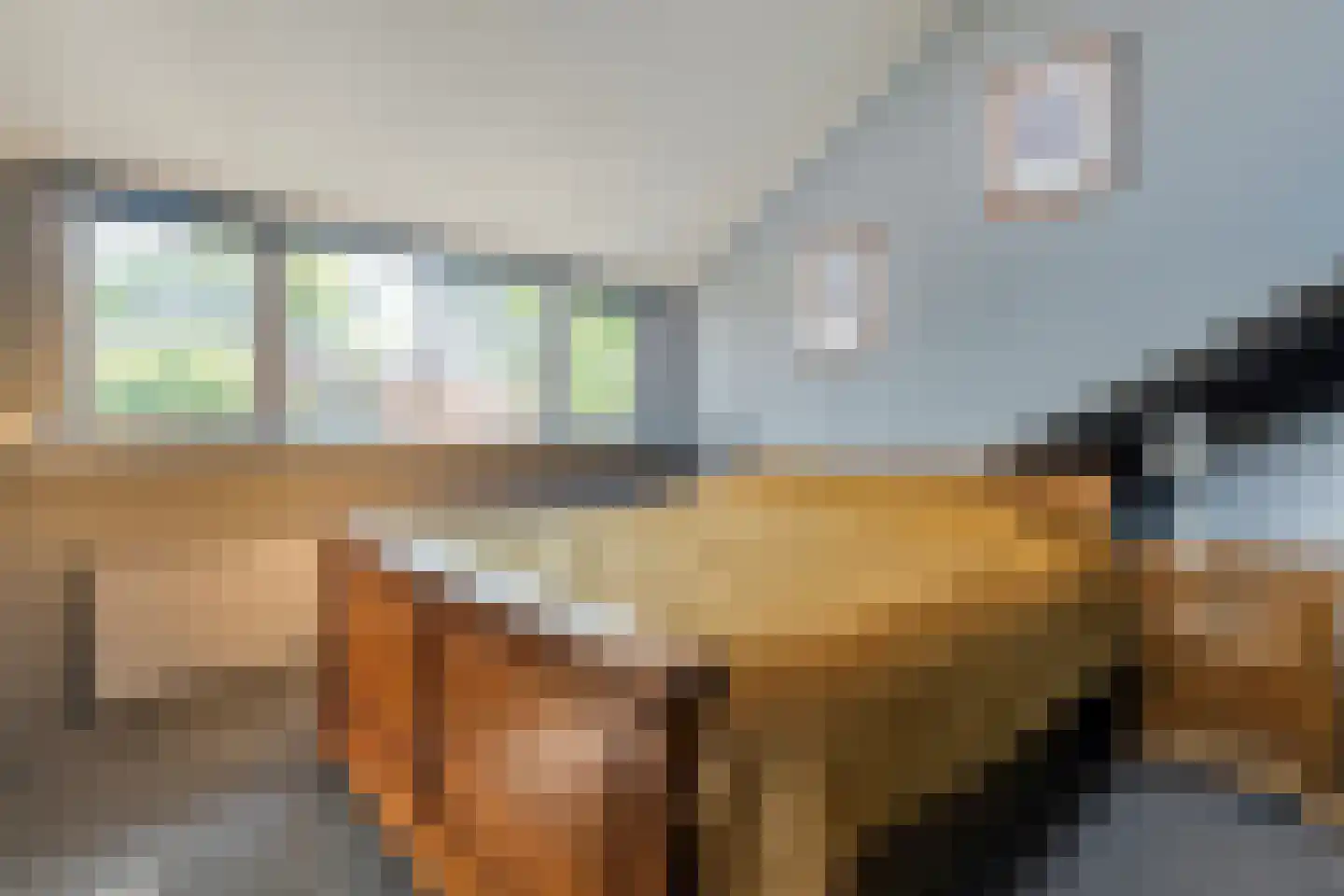 Truus Wijsmüllerstraat 1 Coevorden thumbnail 30