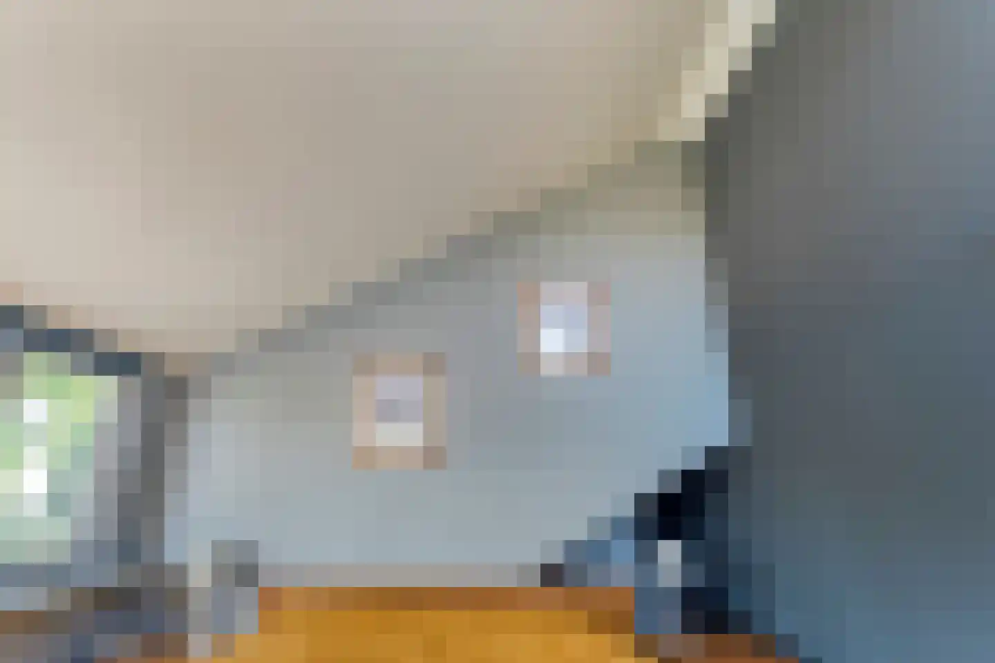 Truus Wijsmüllerstraat 1 Coevorden thumbnail 32