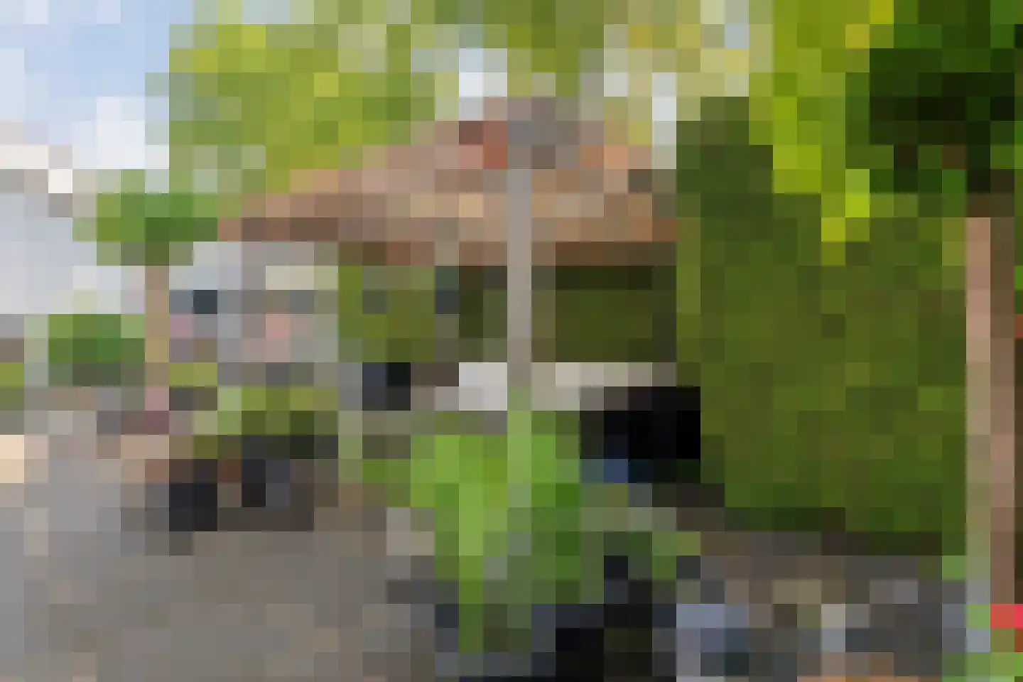 Truus Wijsmüllerstraat 1 Coevorden thumbnail 43