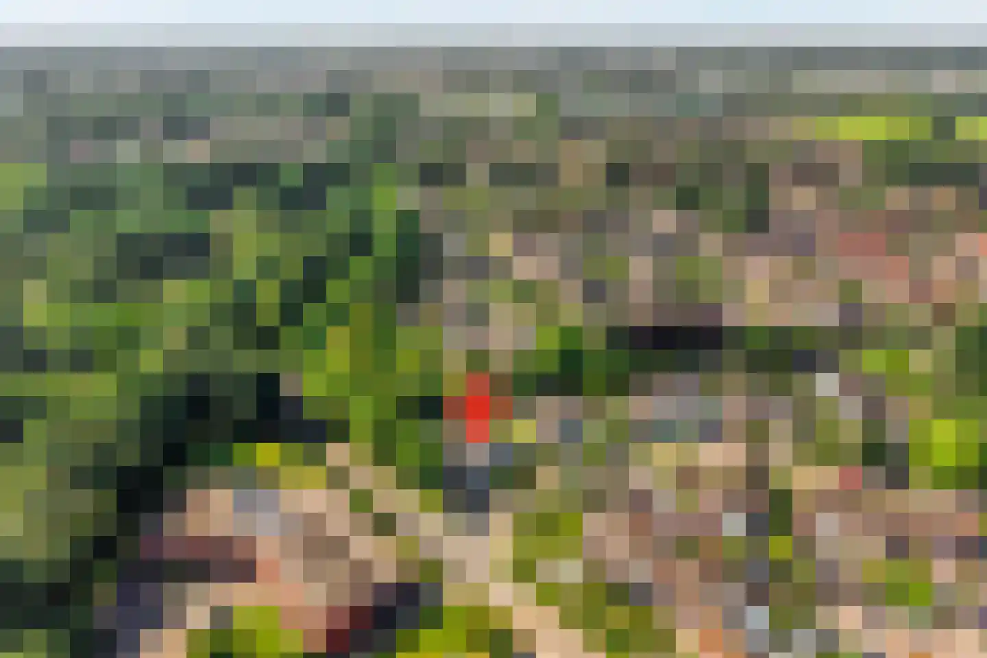 Truus Wijsmüllerstraat 1 Coevorden thumbnail 5