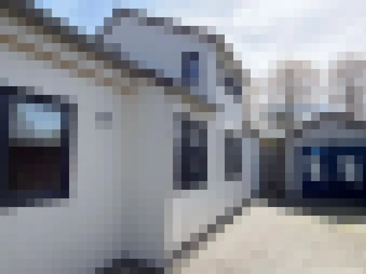 Truus Wijsmüllerstraat 11 Coevorden thumbnail 11