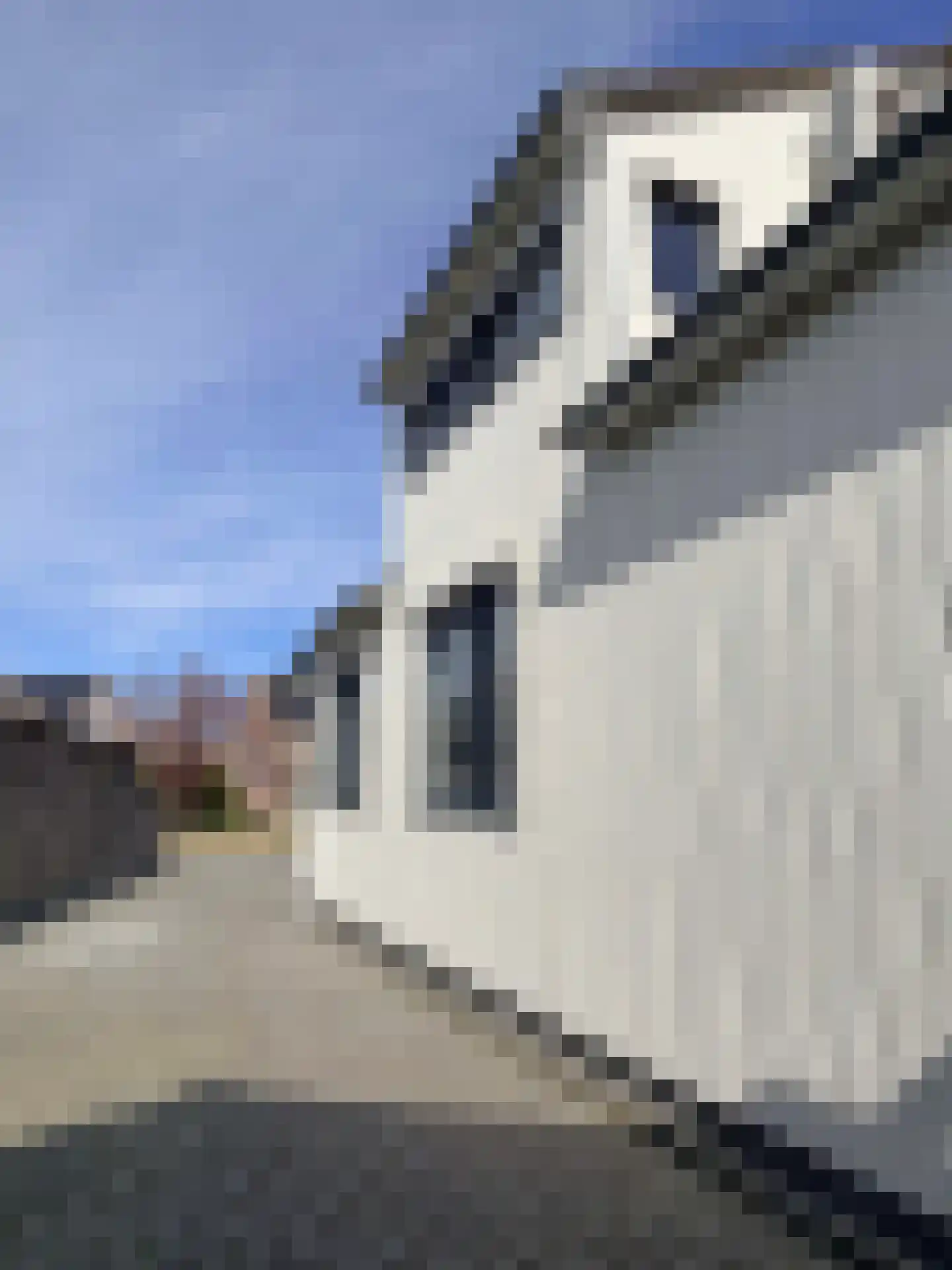 Truus Wijsmüllerstraat 11 Coevorden thumbnail 12