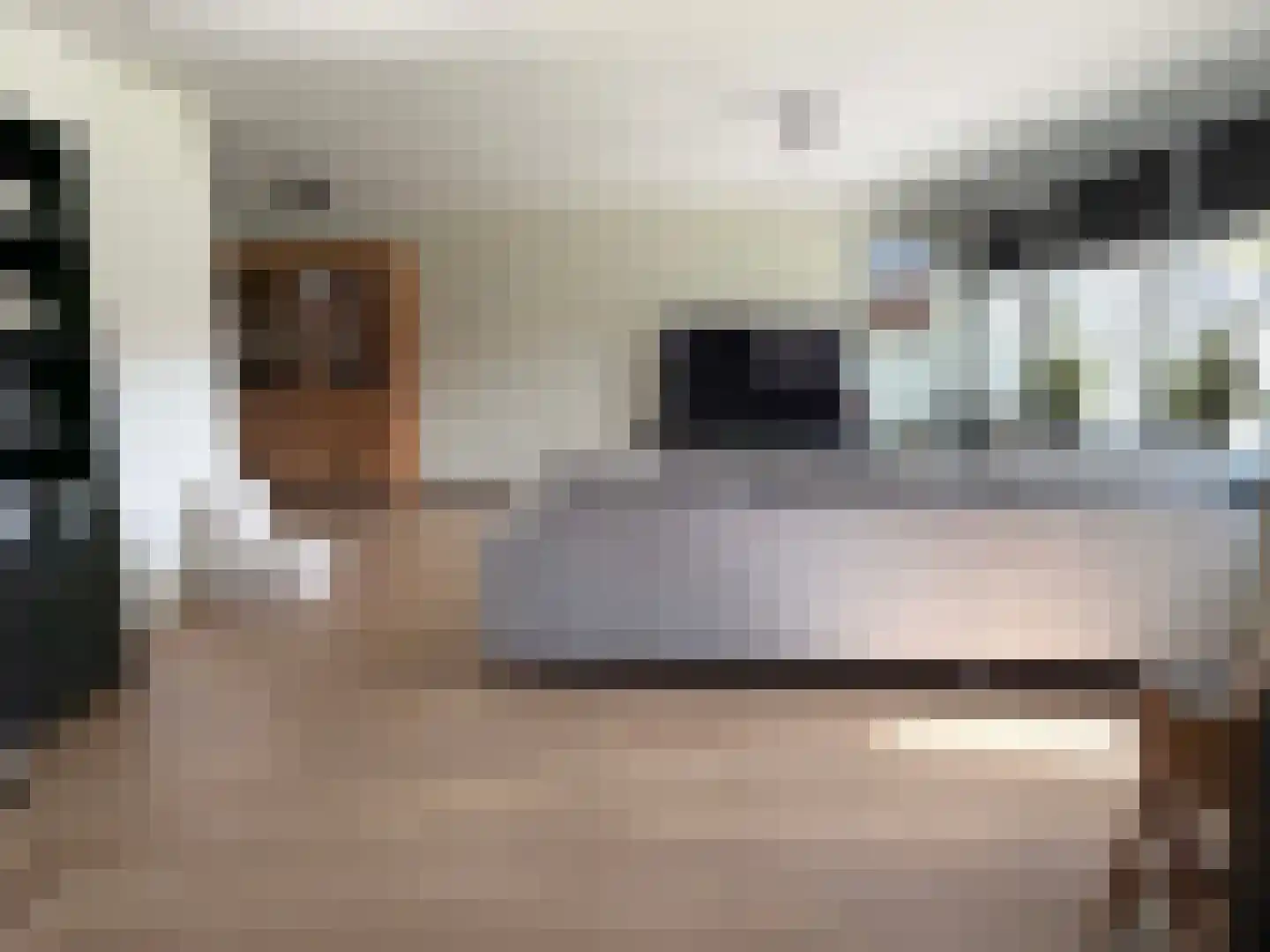 Truus Wijsmüllerstraat 11 Coevorden thumbnail 17
