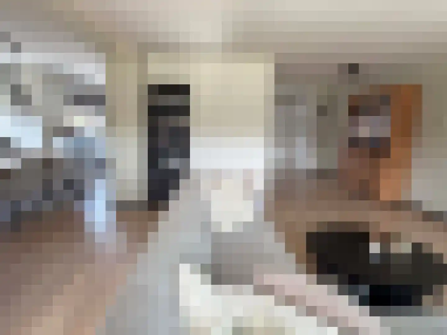 Truus Wijsmüllerstraat 11 Coevorden thumbnail 18