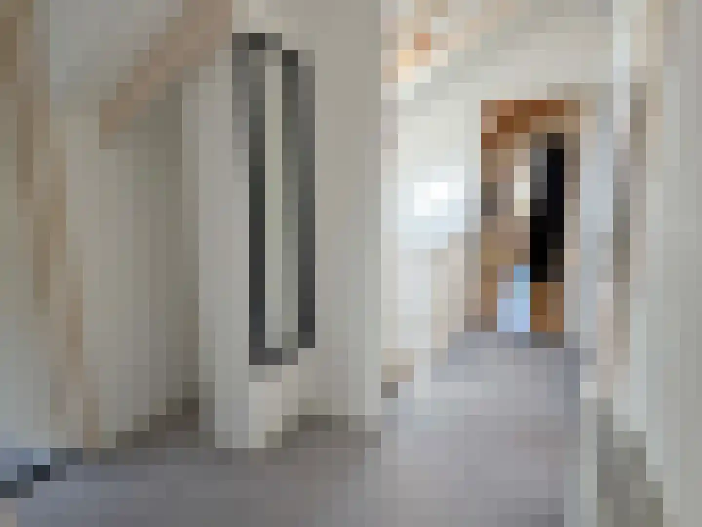 Truus Wijsmüllerstraat 11 Coevorden thumbnail 27