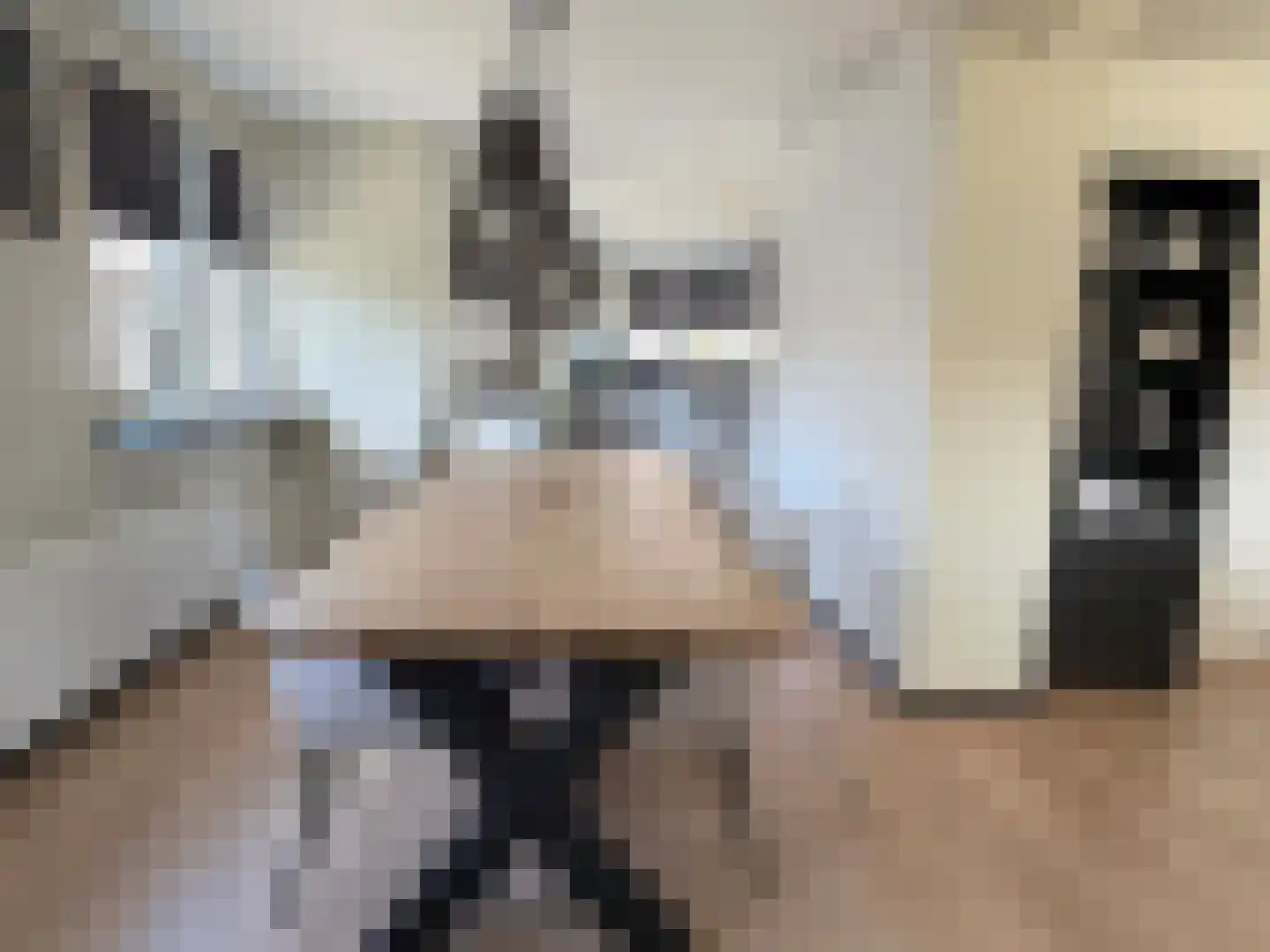 Truus Wijsmüllerstraat 11 Coevorden thumbnail 4