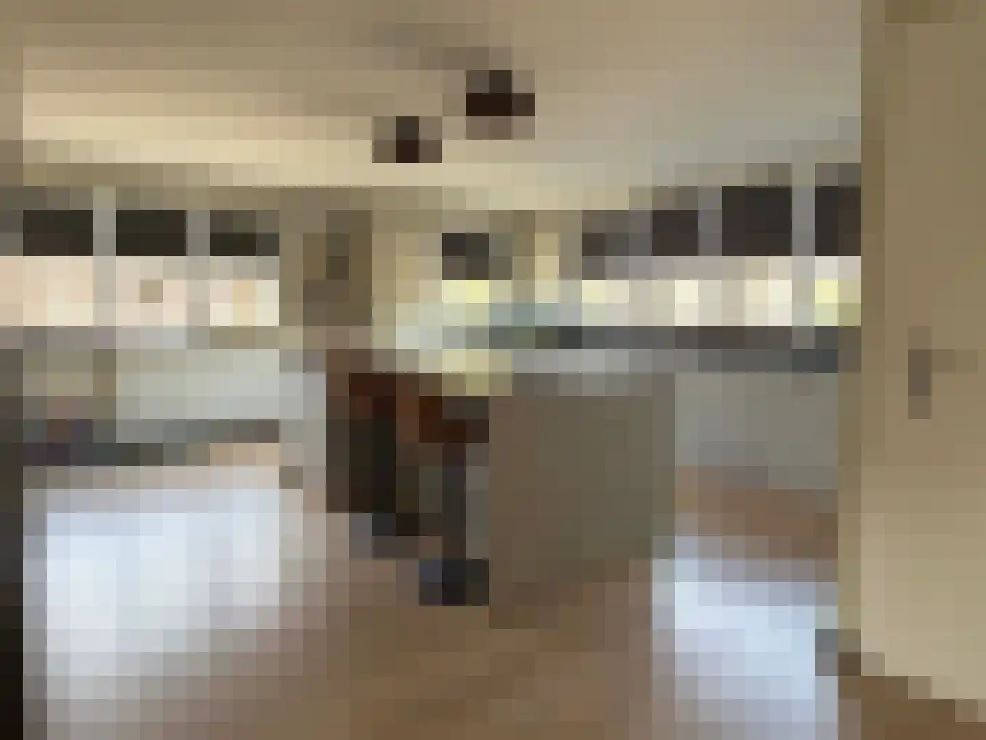 Truus Wijsmüllerstraat 11 Coevorden thumbnail 5