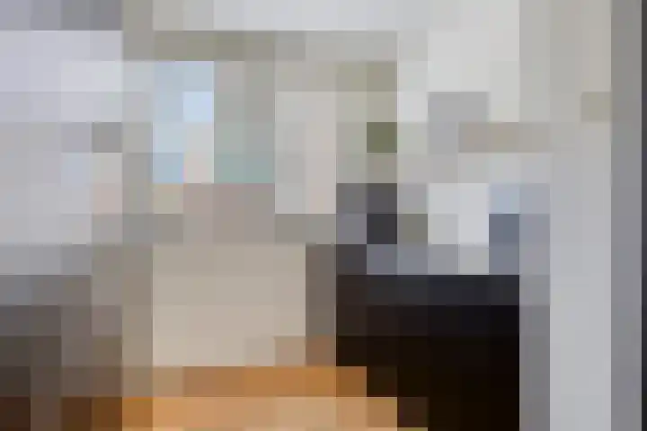 Truus Wijsmullerstraat 17 Pijnacker thumbnail 15