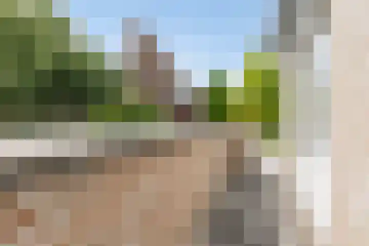 Truus Wijsmullerstraat 17 Pijnacker thumbnail 29
