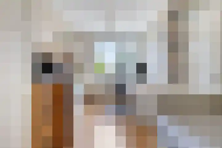Truus Wijsmullerstraat 17 Pijnacker thumbnail 32