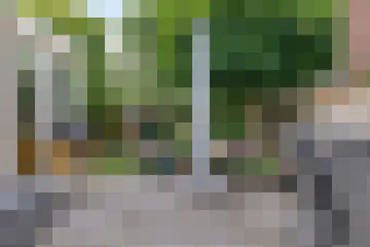 Truus Wijsmullerstraat 17 Pijnacker thumbnail 37