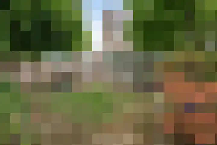 Truus Wijsmullerstraat 17 Pijnacker thumbnail 40