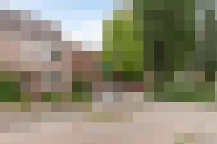 Truus Wijsmullerstraat 17 Pijnacker thumbnail 44