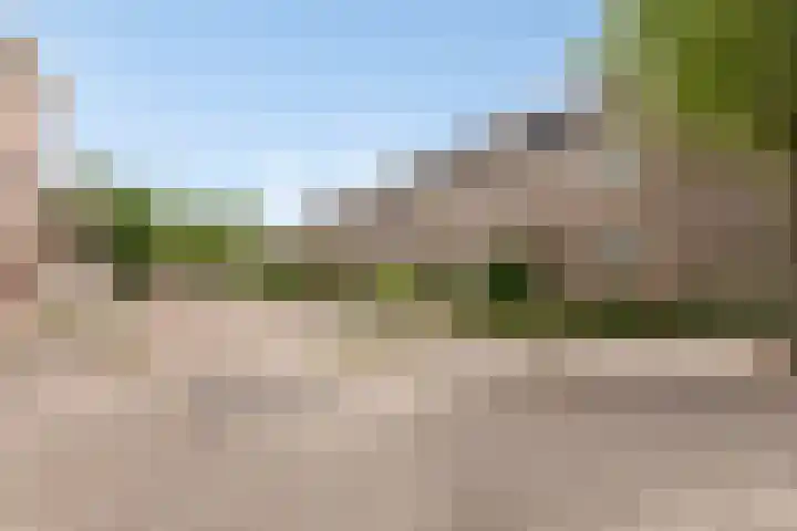 Truus Wijsmullerstraat 17 Pijnacker thumbnail 45