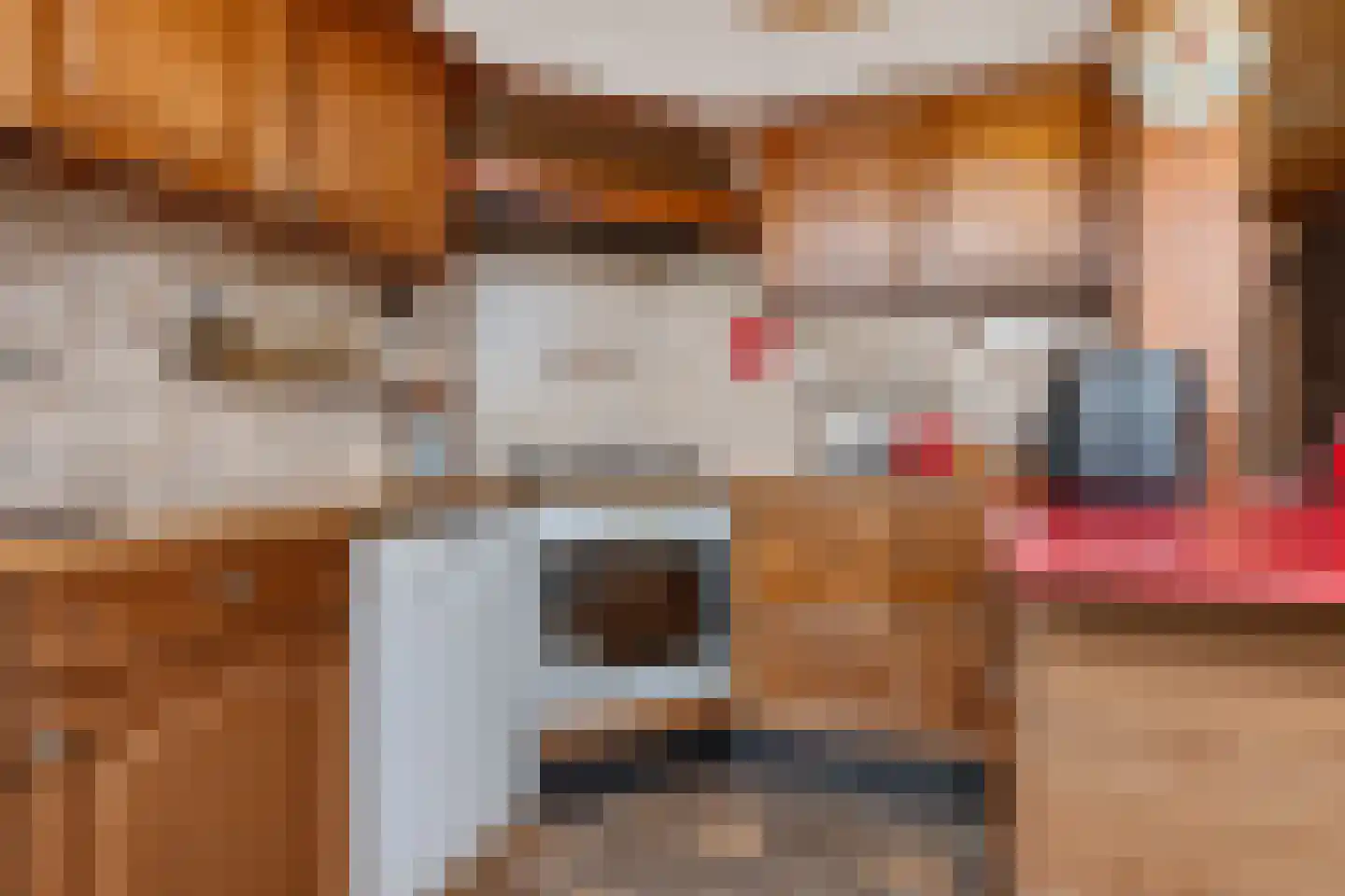 Truytstraat 18 Eygelshoven thumbnail 13