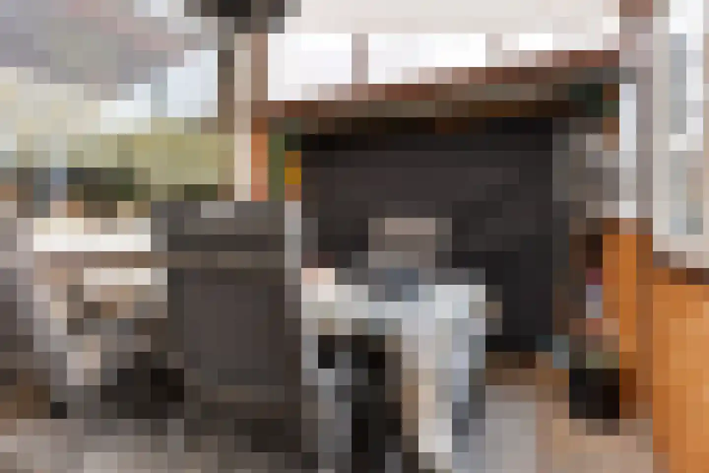 Truytstraat 18 Eygelshoven thumbnail 25