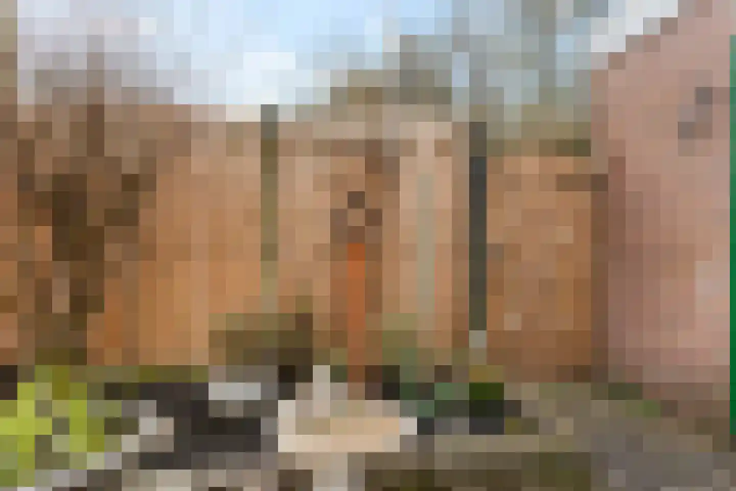 Truytstraat 18 Eygelshoven thumbnail 30