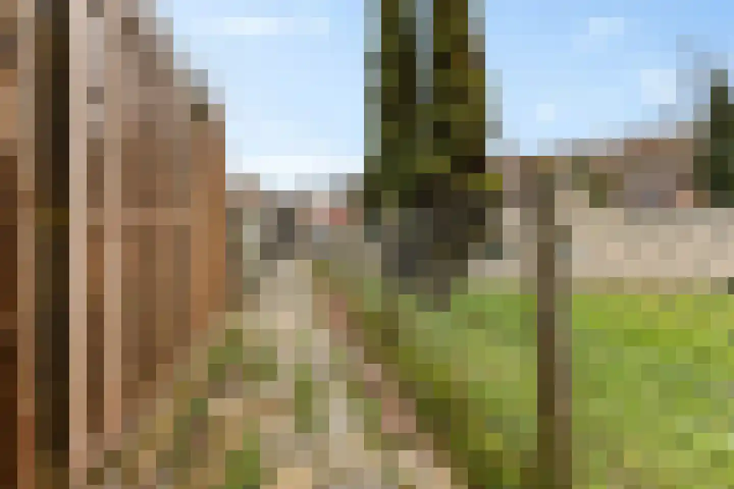 Truytstraat 18 Eygelshoven thumbnail 32