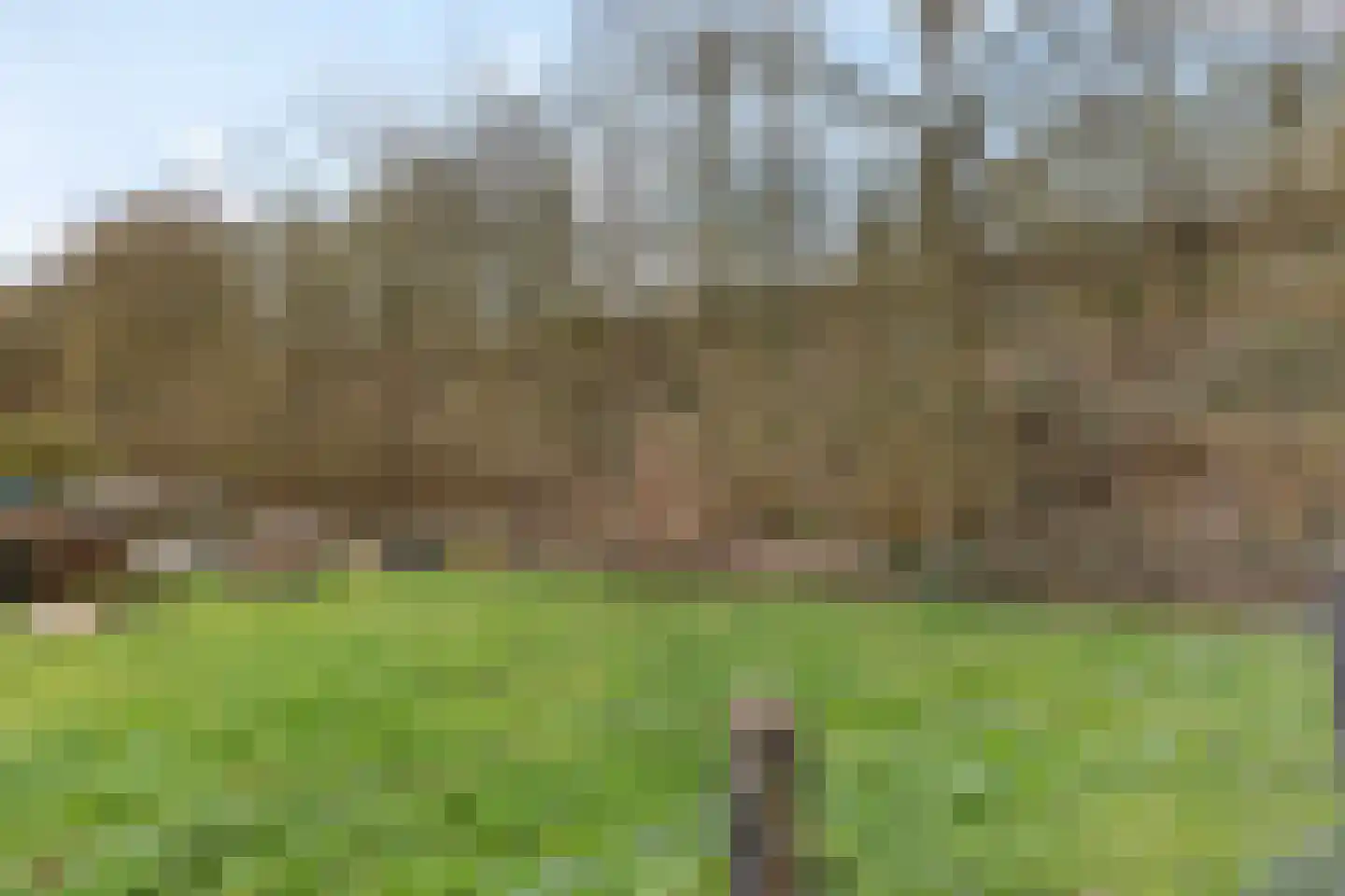 Truytstraat 18 Eygelshoven thumbnail 33