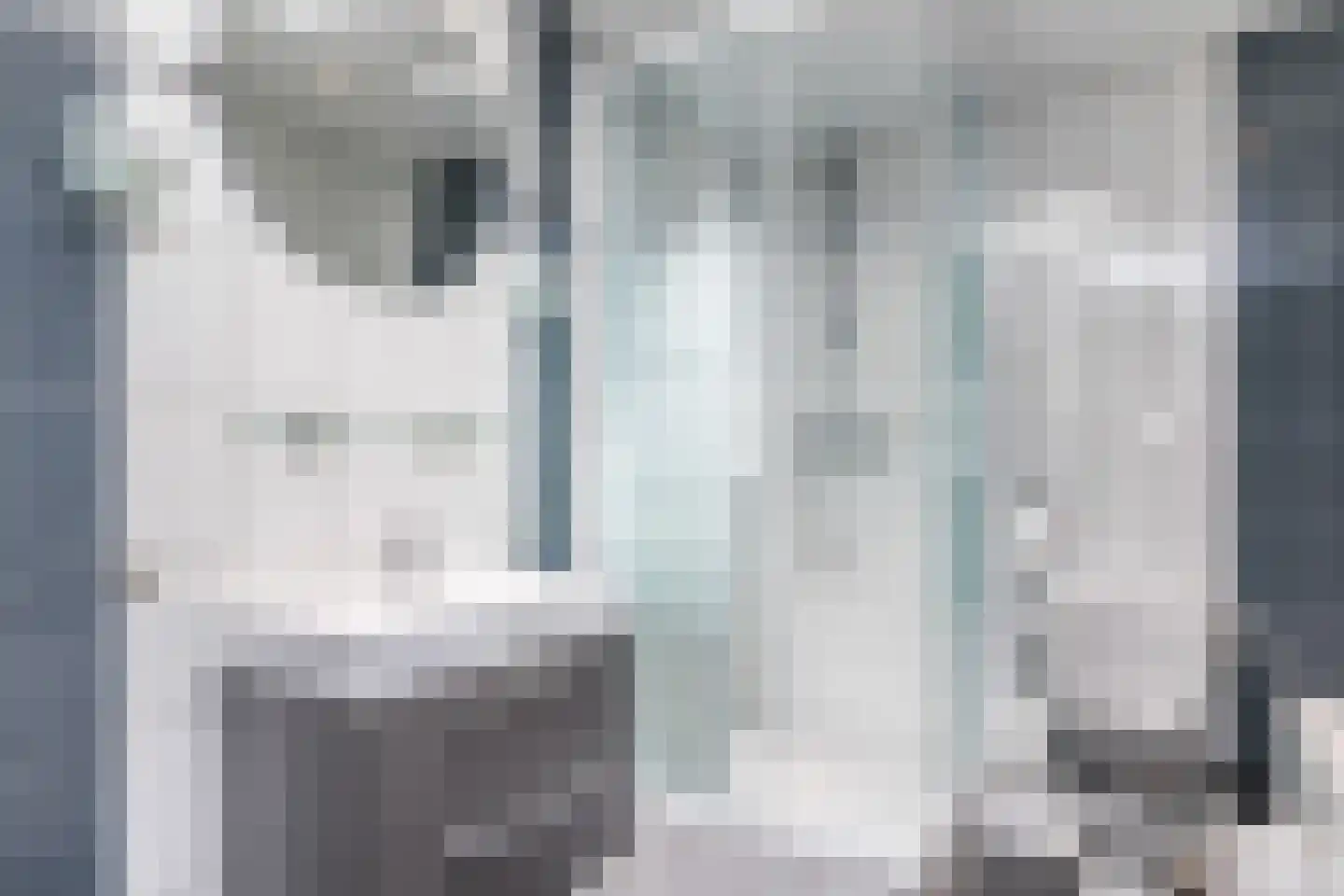 Truytstraat 30 Eygelshoven thumbnail 26
