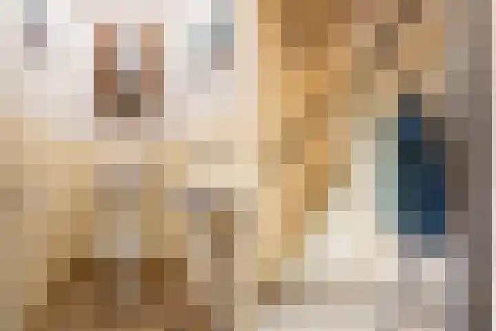Trynwâldsterdyk 11 Gytsjerk thumbnail 12