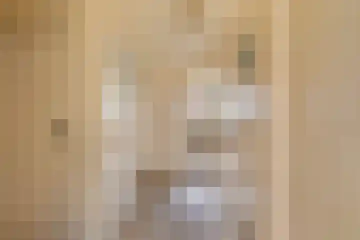 Trynwâldsterdyk 11 Gytsjerk thumbnail 14