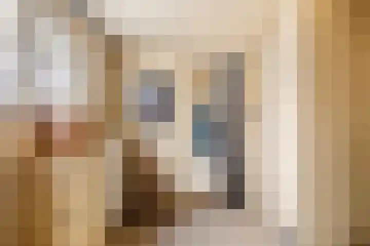 Trynwâldsterdyk 11 Gytsjerk thumbnail 17