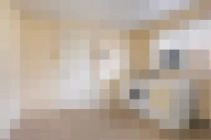 Trynwâldsterdyk 11 Gytsjerk thumbnail 28
