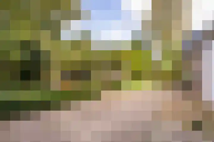 Trynwâldsterdyk 11 Gytsjerk thumbnail 29