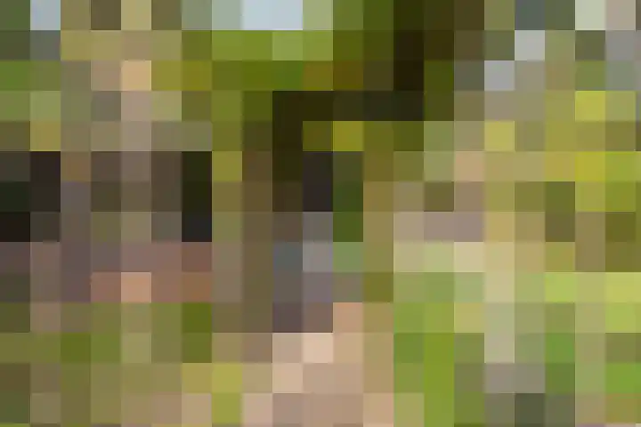 Trynwâldsterdyk 11 Gytsjerk thumbnail 30