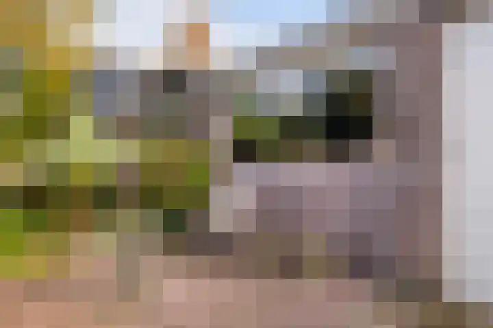 Trynwâldsterdyk 11 Gytsjerk thumbnail 31