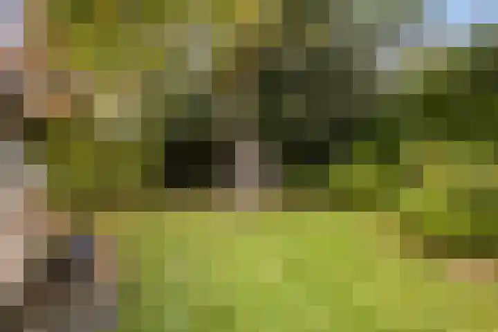 Trynwâldsterdyk 11 Gytsjerk thumbnail 32